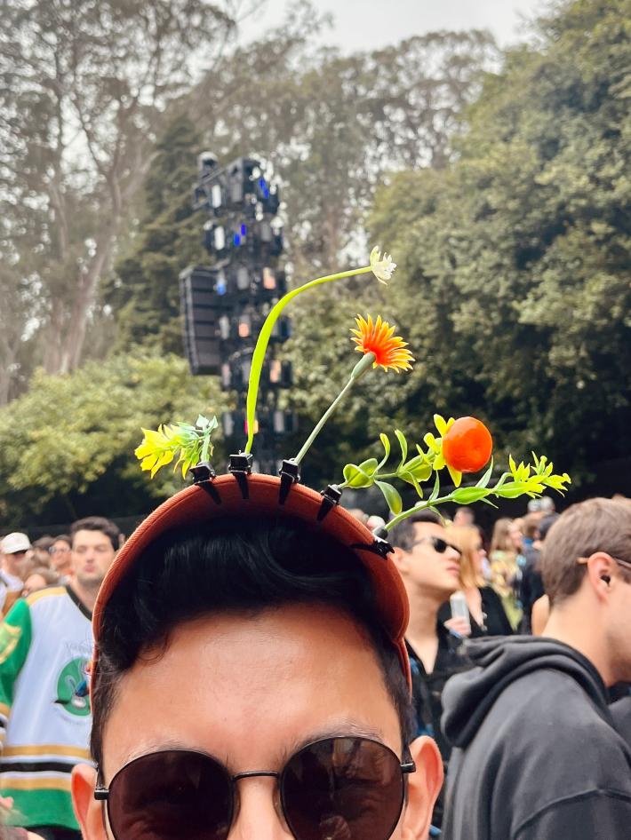 The rise of the rave sprouts