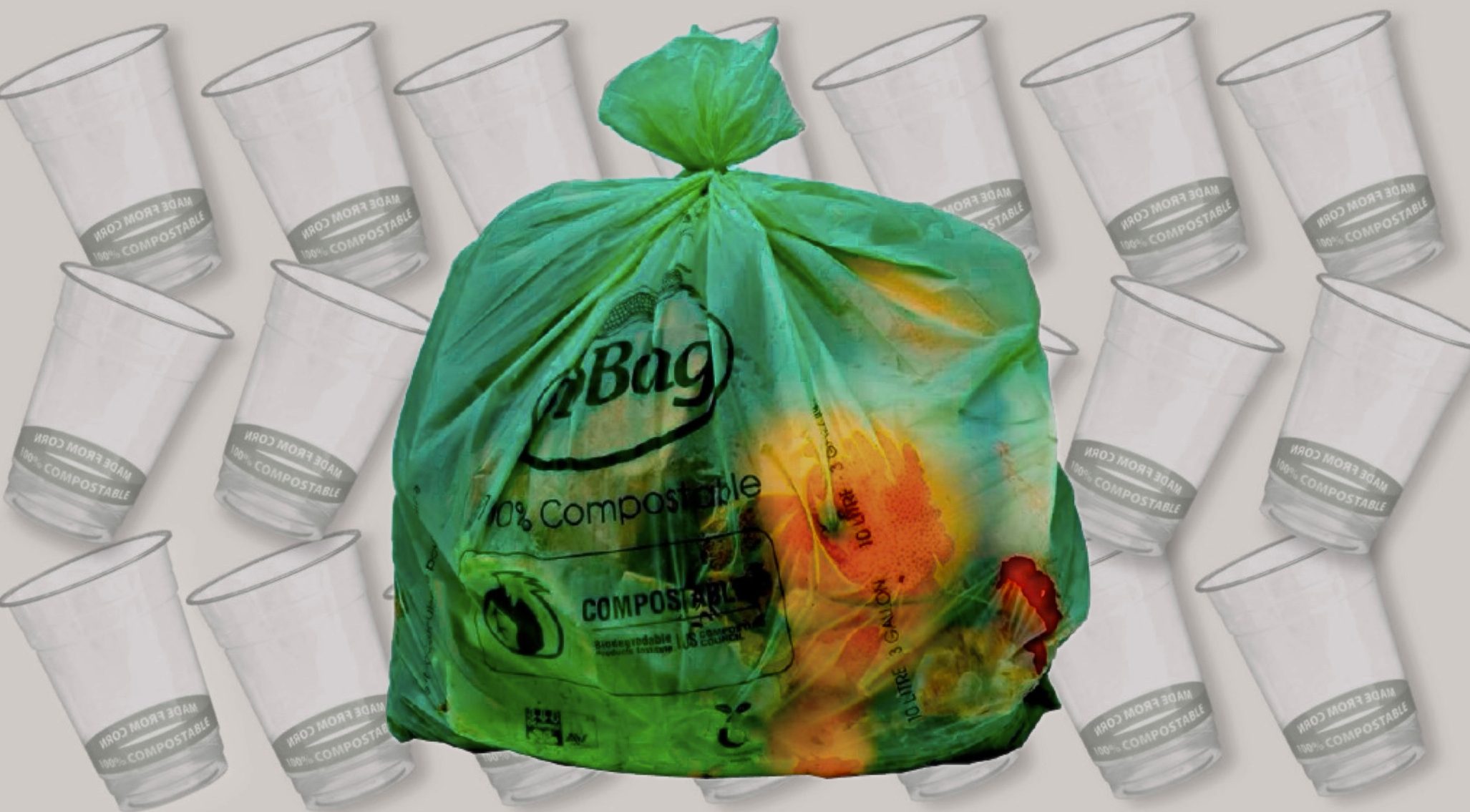 Are compostable take-out packages compostable?